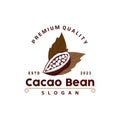 Cacao Bean Logo, Premium Design Vintage Retro Old Fresh Organic Garden Plant Seed Simple Minimalist