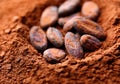 Cacao beans and chocolate powder