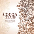 Cacao beans plant, Vector exotic cacao plants Royalty Free Stock Photo