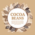 Cacao beans plant, Vector exotic cacao plants Royalty Free Stock Photo