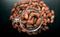 Cacao beans are rich in many minerals, including iron, magnesium, phosphorus, zinc, manganese, and copper