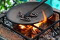 Cacao beans roasting over a fire on a primitive grill. They are being turned with a spoon Royalty Free Stock Photo