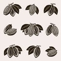 Cacao beans set. Vector