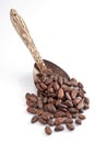 Cacao beans spoon Royalty Free Stock Photo