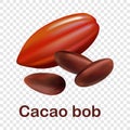 Cacao bob icon, realistic style