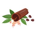 Cacao butter icon cartoon . Cocoa bean