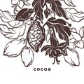 Cacao card. Natural chocolate. Vector template