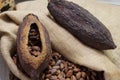 Cacao and coffee beans in burlap bags Royalty Free Stock Photo