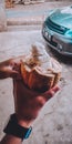 Cacao fruit harvest eat from farm