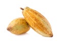 Cacao fruit, raw cacao beans, Cocoa pod on white background Royalty Free Stock Photo