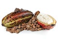 Cacao fruit Royalty Free Stock Photo