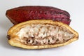 Cacao fruit, whole and sliced, on white background