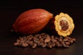 Cacao harvest fruit theme