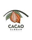 Cacao logo , chocolate logo vector