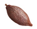 Cacao pod isolated Royalty Free Stock Photo
