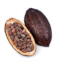 Cacao pod isolated Royalty Free Stock Photo