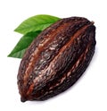 Cacao pod Royalty Free Stock Photo
