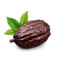 Cacao pod isolated Royalty Free Stock Photo