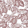 Cacao seamless pattern. Vector antique background