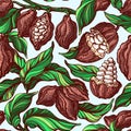 Cacao seamless pattern. Vector nature background