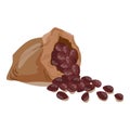 Cacao seed sack icon cartoon vector. Cocoa bean