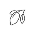 Cacao tree line outline icon