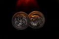 Metal medals inspired by the Stark house shields and Targaryen from the TV series Game of Thrones for sale as amulets.