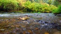 Cache River Utah Fall Scenery