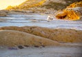 Playing by the cliffs at sunset on the coast Royalty Free Stock Photo