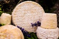 Caciotta cheese in a bucolic scenery