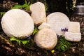 Caciotta cheese in a bucolic scenery