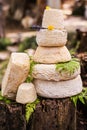 Caciotta cheese in a bucolic scenery