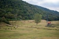 Caciulata, Romana, 09th of April 2019: `Castrul roman Arutela` ruins meaning roman fortress Arutela, located in Caciulata, Roman