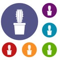 Cactaceae cactus icons set Royalty Free Stock Photo