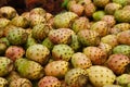 Cactaceous fig fruits in a Fez market Royalty Free Stock Photo