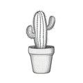 cacti cactus ai generated