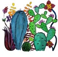 Cacti collection with flowers, branches and other succulents