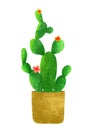 Cacti Flower Illustration by Indy Purwa