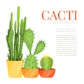 Cacti house plants in pots botany set
