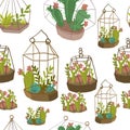 Cacti plants planter hanging pot under glass greenhouse mini garden hand drawn