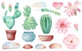 Cacti in pots hand drawn watercolor raster illustration set