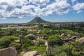 Cacti and rocks in front of Hooiberg, Aruba Royalty Free Stock Photo