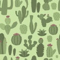 Cacti seamless pattern with succulen green cactus vector illustration.