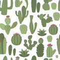 Cacti seamless pattern with succulen green cactus vector illustration.