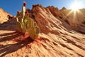 a cacti-studded desert cliff under a scorching sun