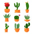 Cacti and Succulents Icons Set. Cute Green Cartoon Cactus with Green Thorns and Blooming Blossoms in Flower Pots Royalty Free Stock Photo