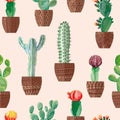 Cacti