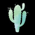 Cactus illustration with watercolor texture