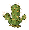 Cactus