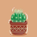 cute small cactus inside a plantpot Royalty Free Stock Photo